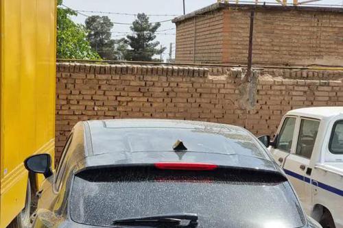 دیگنیتی مشگی صفر