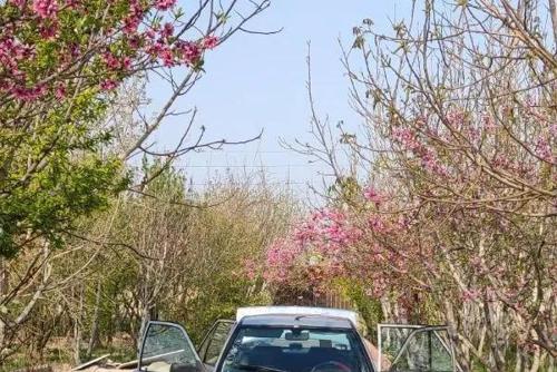 پراید صندوق‌دار CNG، مدل ۱۳۸۹