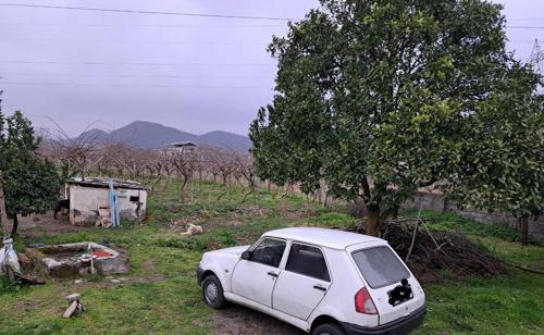 رنو پی کی، مدل ۱۳۸۵