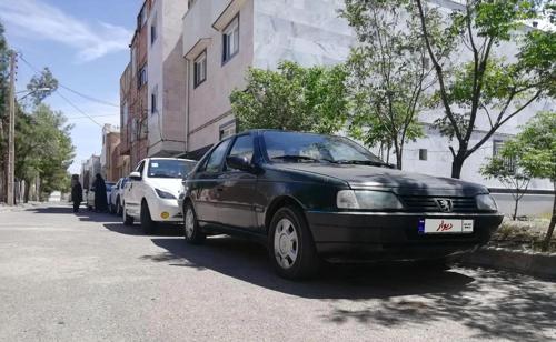 پژو RDI دوگانه ال پی جی، مدل ۱۳۸۴