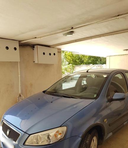 رانا LX، مدل ۱۳۹۳