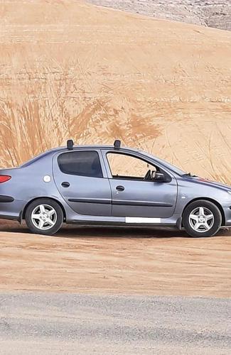پژو 206 SD V8، مدل ۱۳۹۳