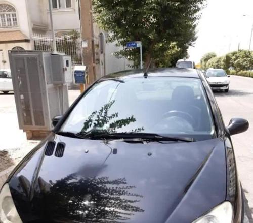 پژو 206 SD V8، مدل ۱۳۹۶