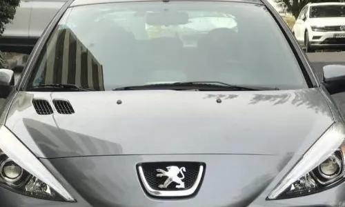 ۲۰۷ پاناروما خاکستری دنده