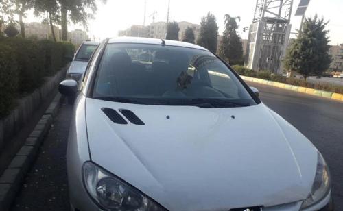 پژو 206 SD V9، مدل ۱۳۸۸