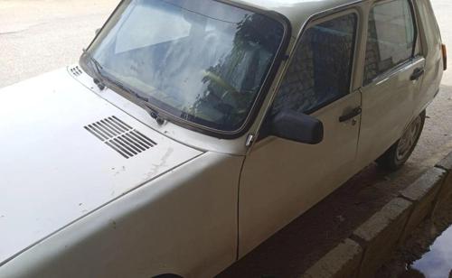 رنو 5، مدل ۱۹۹۳