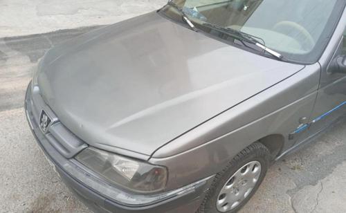 پژو پارس دوگانه سوز، مدل ۱۳۹۳