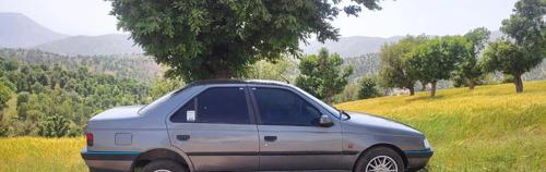 پژو 405 GLX بنزینی، مدل ۱۳۸۵