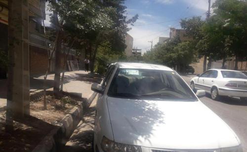 سمند EL