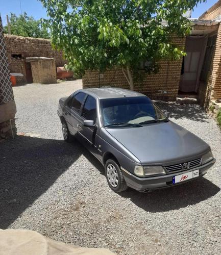 پژو 405 SLX دوگانه سوز، مدل ۱۳۹۰