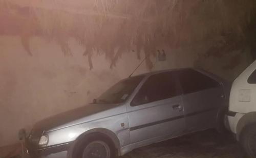 پژو 405 GLX بنزینی، مدل ۱۳۸۷