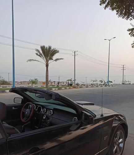 موستانگ کروک v8