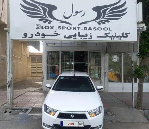 دنا معمولی تیپ ۲، مدل ۱۳۹۶