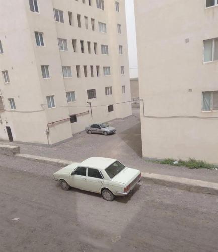 پیکان‌ سفید‌ صدفی