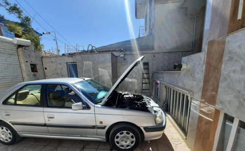 پژو پارس دوگانه سوز، مدل ۱۳۸۴