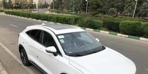 دیگنیتی سفیدداخل مشکی صفر خشک