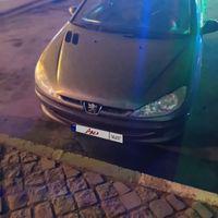 پژو 206 SD V8، مدل ۱۳۸۸