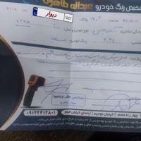 دنا معمولی تیپ ۲، مدل ۱۳۹۷