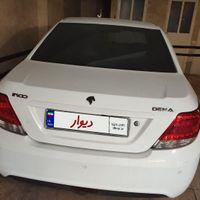 دنا معمولی تیپ ۲، مدل ۱۳۹۶