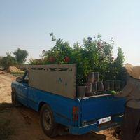 زامیاد Z 24 دوگانه سوز، مدل ۱۳۹۵