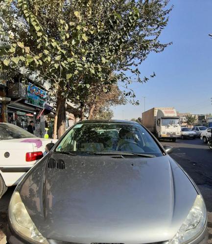 پژو 206 تیپ ۲، مدل ۱۳۹۵