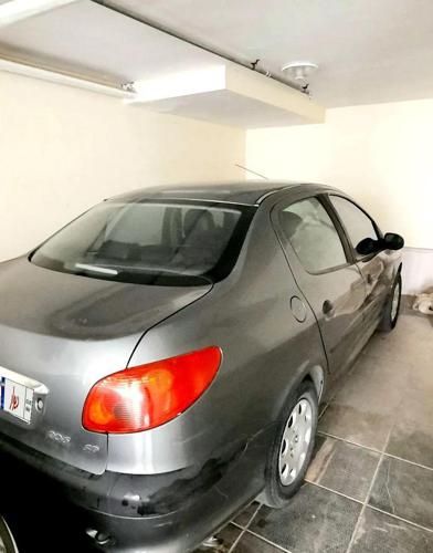 پژو 206 SD V20، مدل ۱۳۸۸