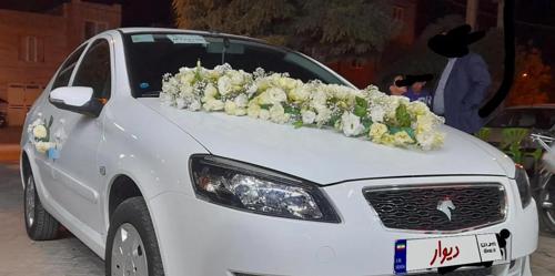 رانا پلاس، مدل ۱۳۹۹