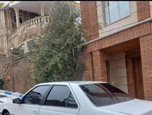 پژو پارس LX TU5، مدل ۱۳۹۹