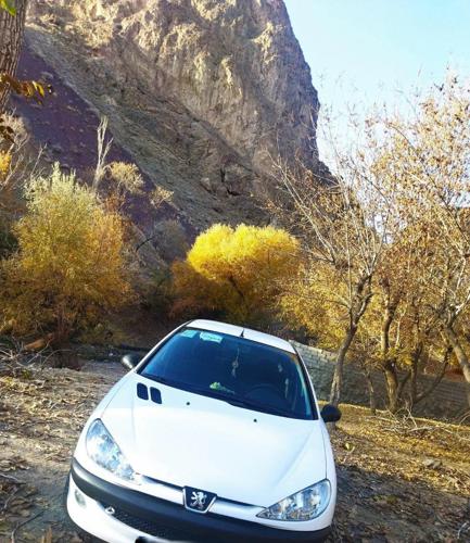 پژو 206 تیپ ۲، مدل ۱۳۹۹