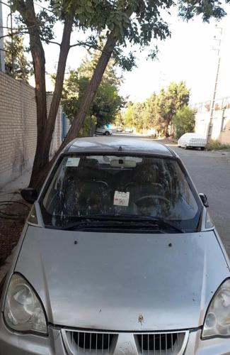 هافی لوبو لوبو، مدل ۱۳۸۹
