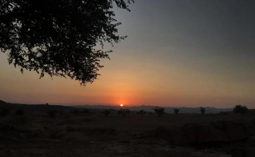 تیبا صندوق دار مدل ۹۶