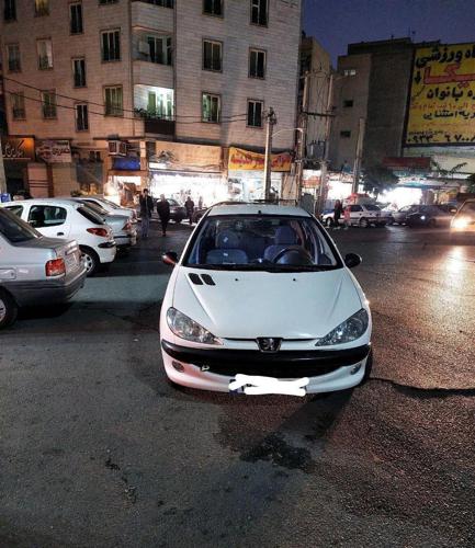 پژو 206 تیپ ۲، مدل ۱۳۹۵