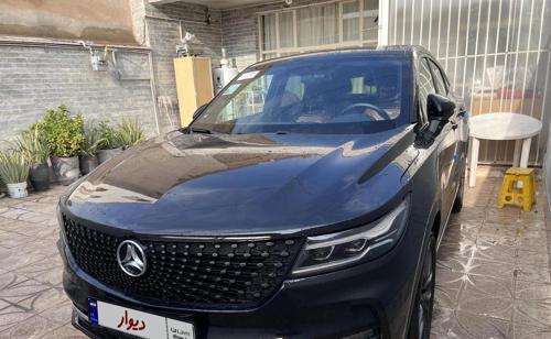 دیگنیتی پرایم خشک مشکی مارون