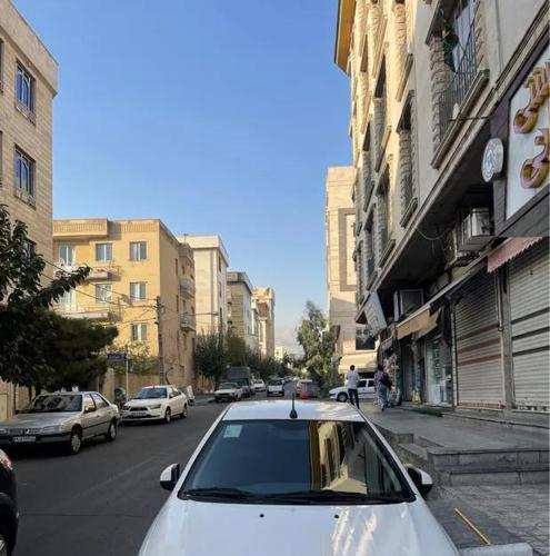 دنا معمولی تیپ ۲، مدل ۱۳۹۸